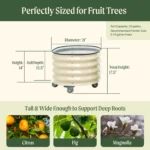Rolling Metal Tree Planter Pot 2 Pack - Image 2
