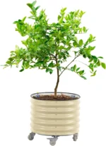 Rolling Self‑Watering Plant Planter Pot