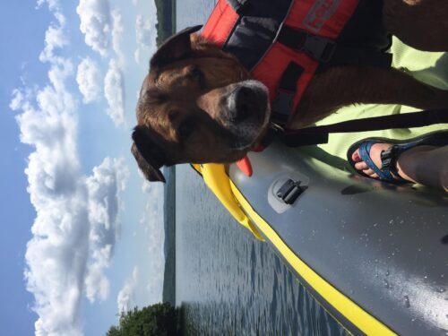 Intex Explorer K2 Kayak Set photo review