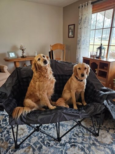 Double Camping Loveseat photo review