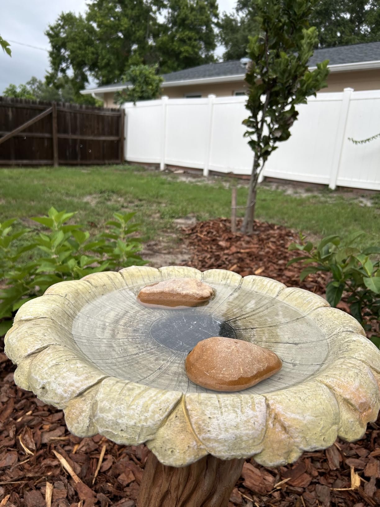 Pedestal Outdoor Bird Bath photo review