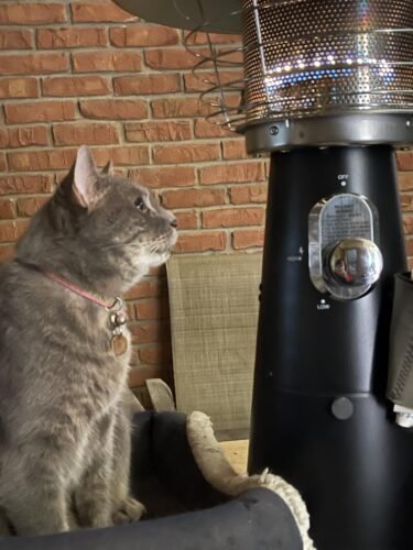 Tabletop Patio Propane Heater photo review