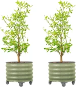 Rolling Metal Tree Planter Pot 2 Pack