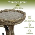 Pedestal Outdoor Bird Bath - Image 5