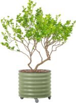 Metal Tree Planter Pot