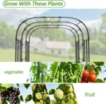 Steel Garden Arch Trellis - Image 4