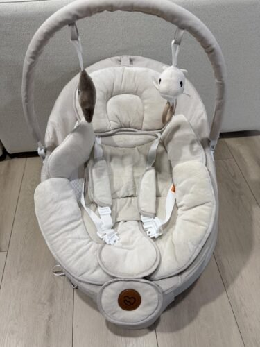 Bluetooth Electric Baby Swing photo review