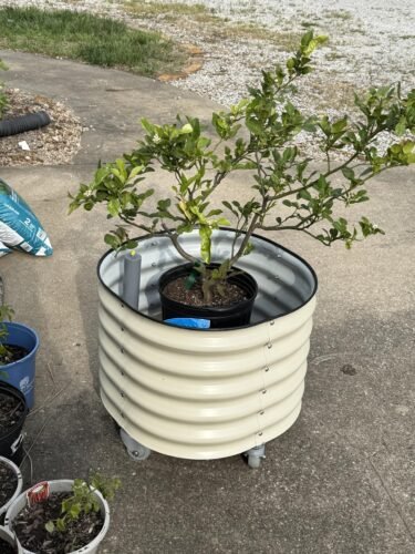 Rolling Self‑Watering Plant Planter Pot photo review