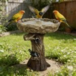 Pedestal Outdoor Bird Bath