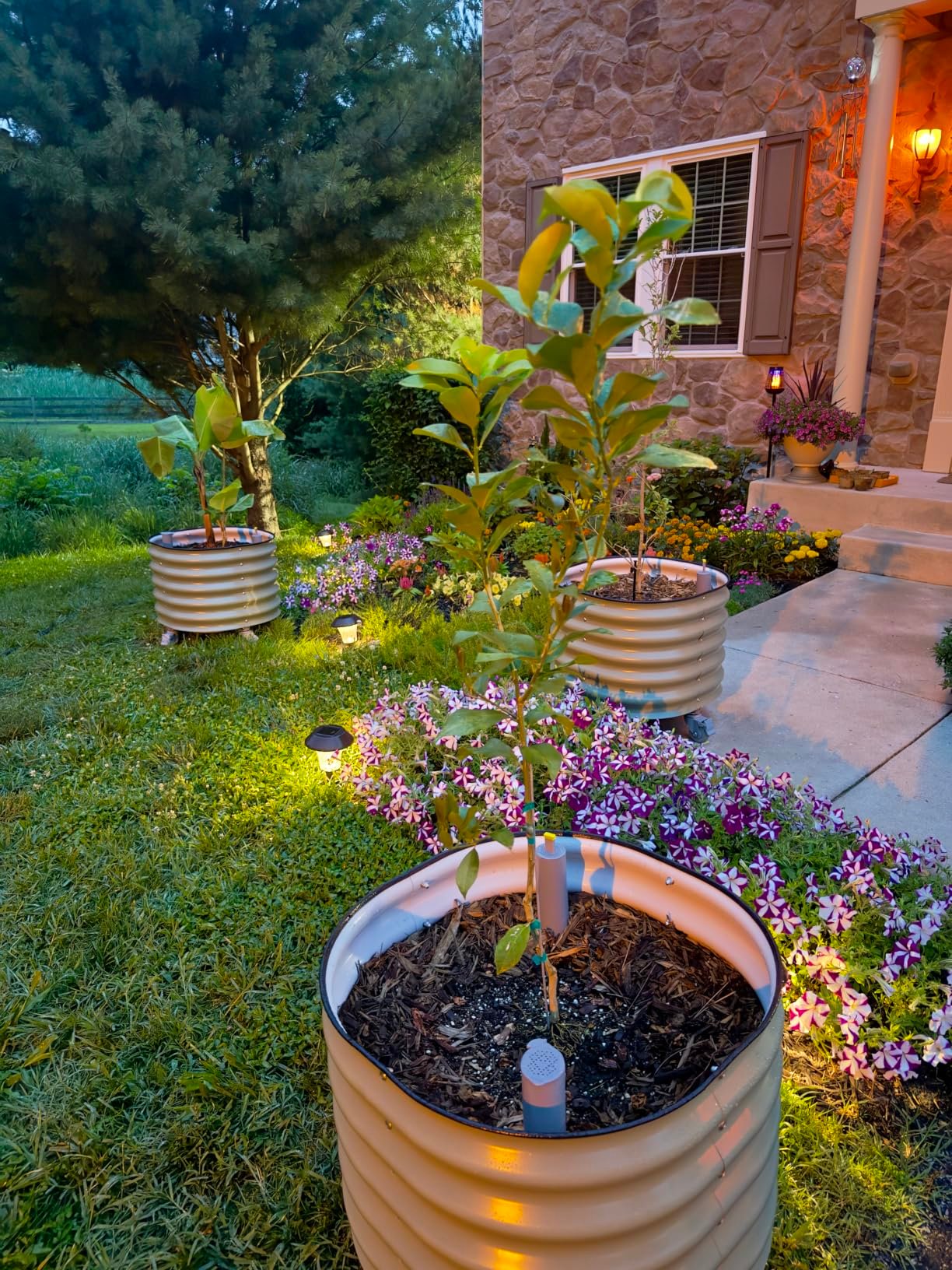 Rolling Self‑Watering Plant Planter Pot photo review