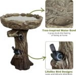 Pedestal Outdoor Bird Bath - Image 6