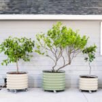 Metal Tree Planter Pot - Image 7