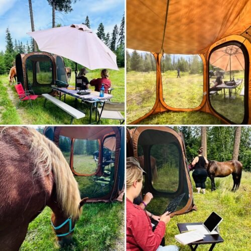 Beige Mesh Screen Gazebo photo review