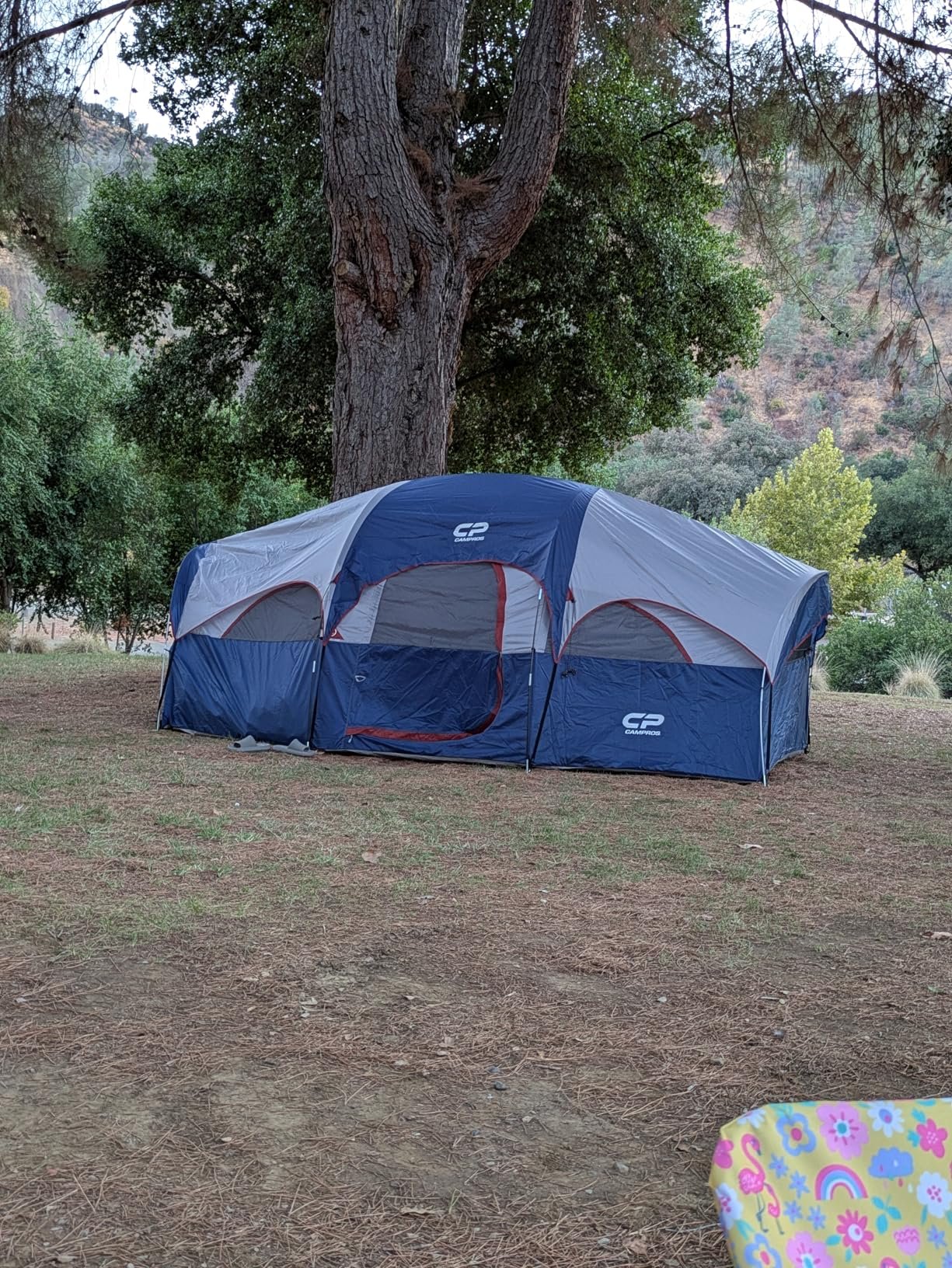 Weather‑Resistant 8‑Person Tent photo review