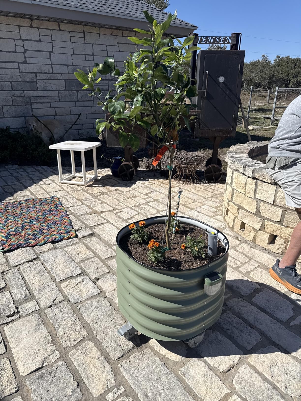 Rolling Metal Tree Planter Pot 2 Pack photo review