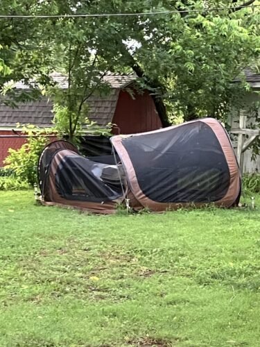 Beige Mesh Screen Gazebo photo review