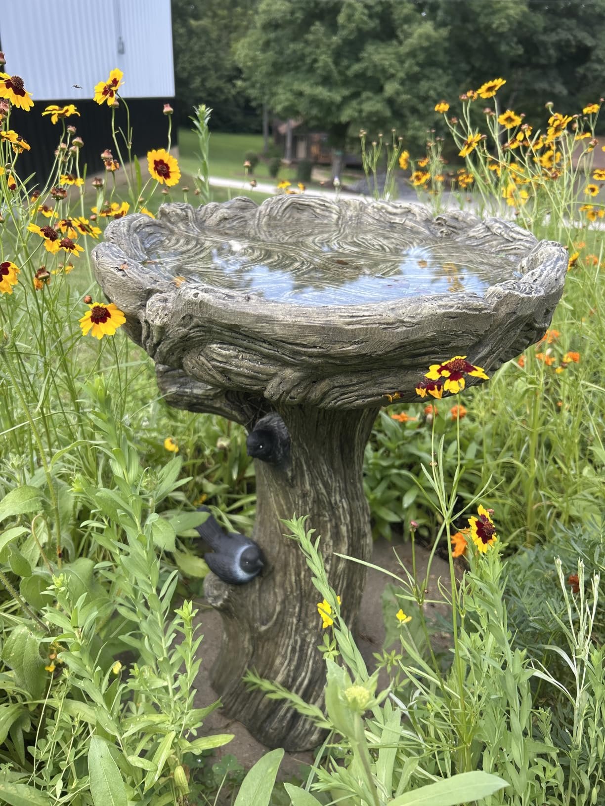 Pedestal Outdoor Bird Bath photo review
