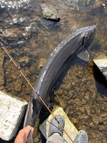 Powerful Saltwater Fishing Reel photo review