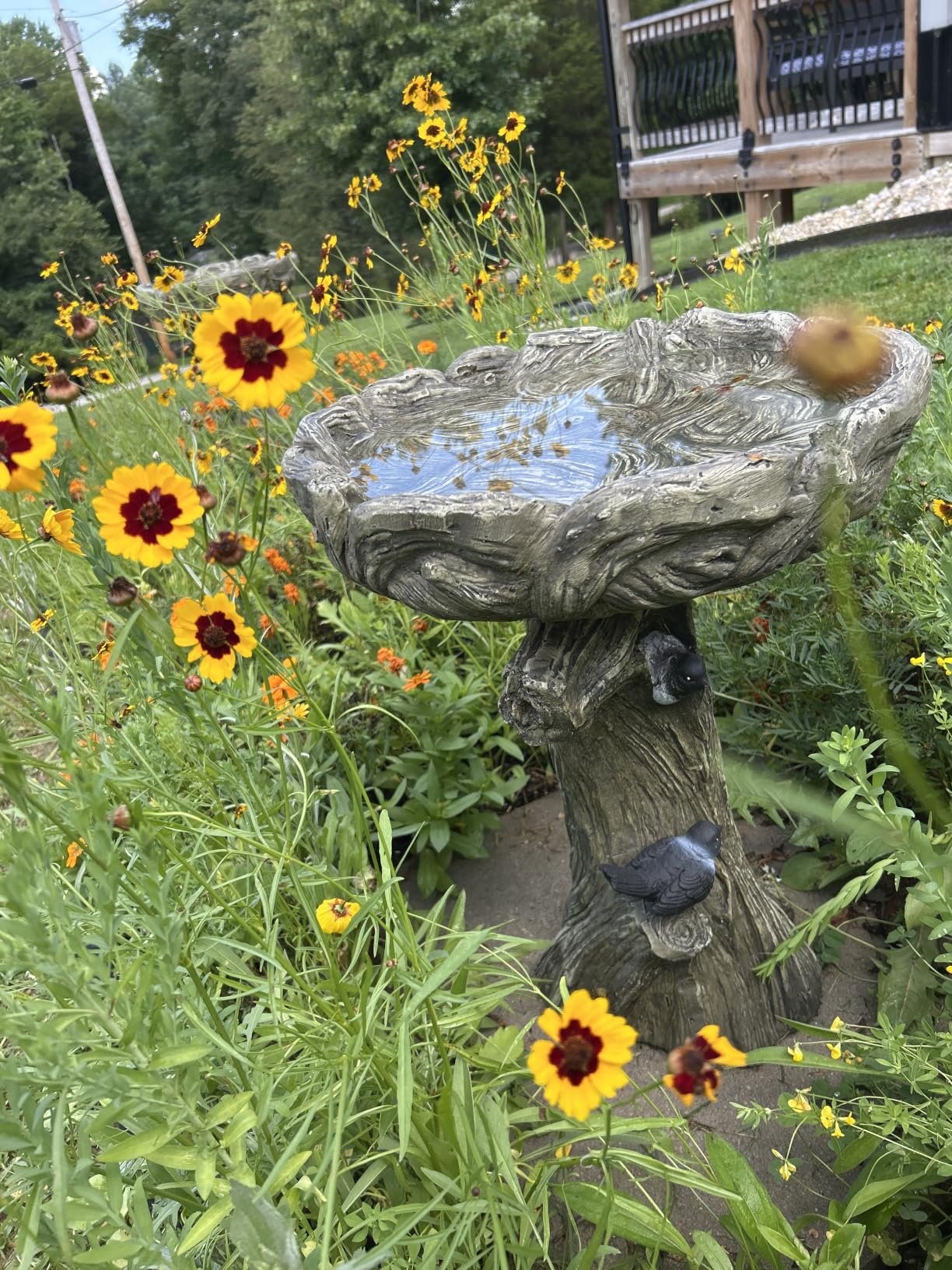 Pedestal Outdoor Bird Bath photo review