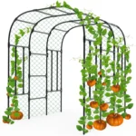 Steel Garden Arch Trellis