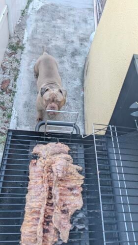 Large Barrel Charcoal Grill photo review