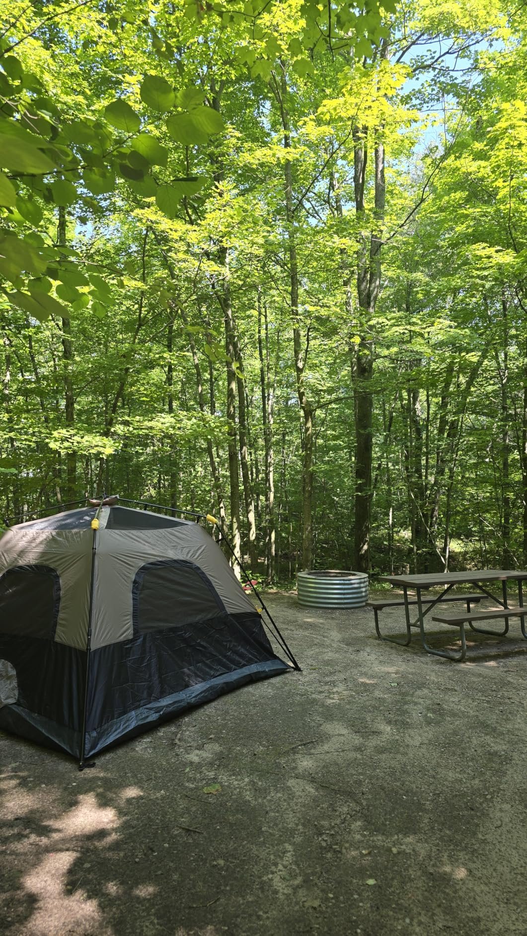 60‑Sec Instant Camping Tent photo review