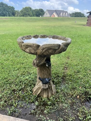 Pedestal Outdoor Bird Bath photo review