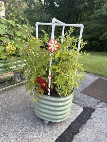 Rolling Self‑Watering Plant Planter Pot photo review