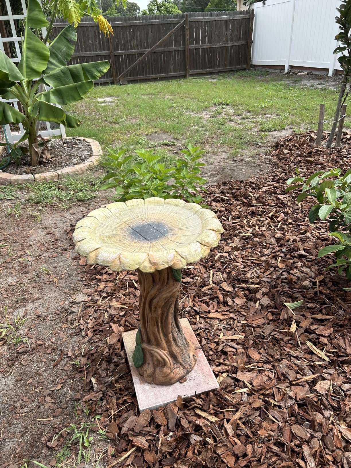 Pedestal Outdoor Bird Bath photo review