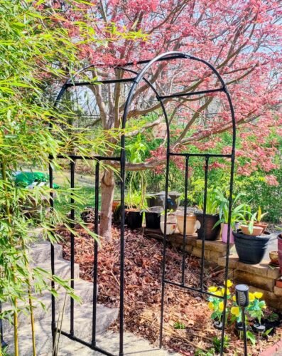 Steel Garden Arch Trellis photo review