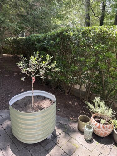 Metal Tree Planter Pot photo review