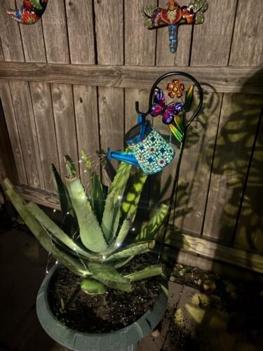 Butterfly Solar Watering‑Can Light photo review